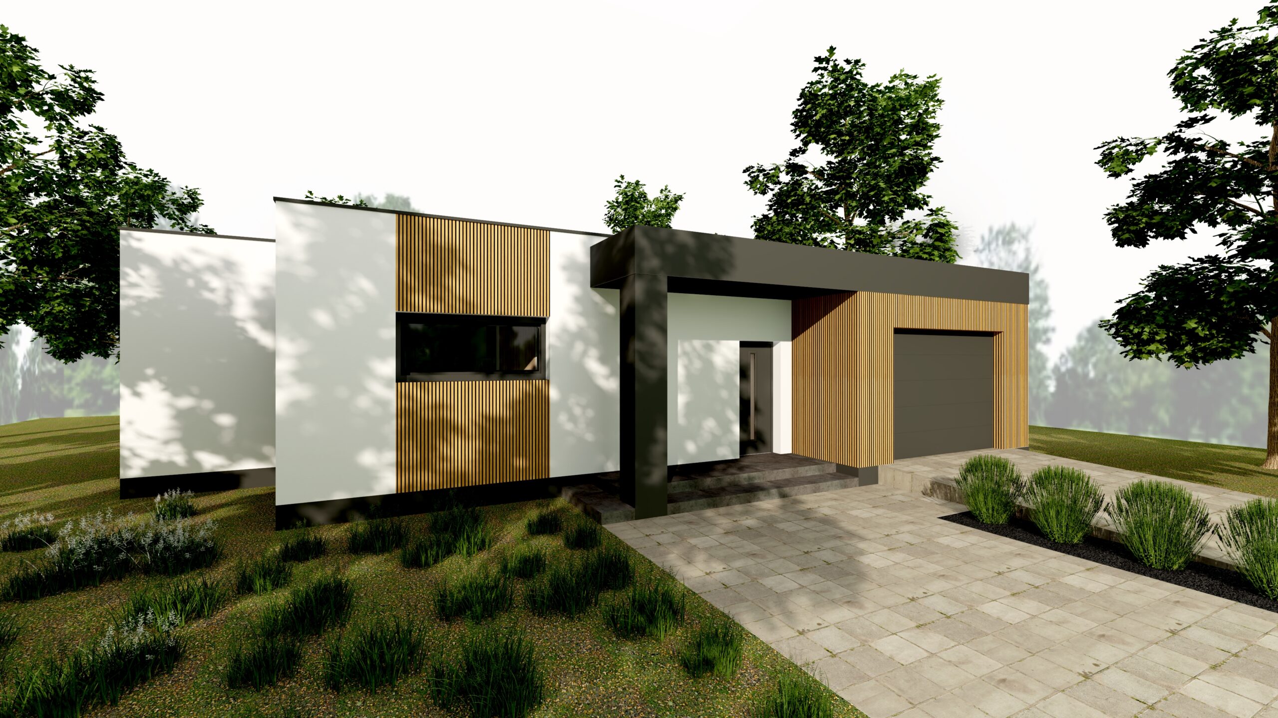 dom elewacja projekt